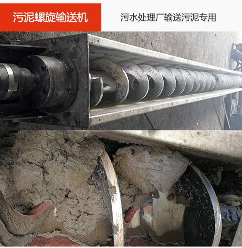 汙泥绿巨人黄色免费网站水平/傾斜輸送，汙水廠輸送汙泥專用設備。